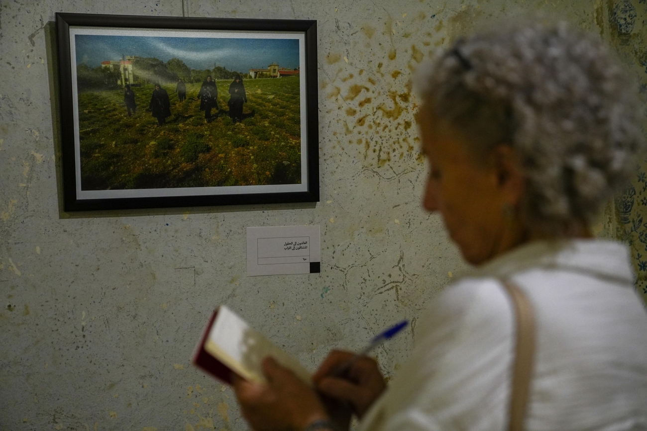 Woman holding notepad looks at a photograph